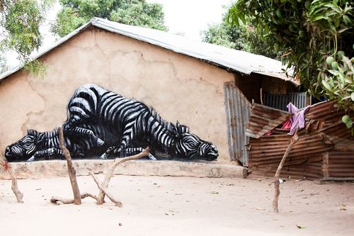 ROA-2011-The%20Gambia-WOW-picture%20by%20Jonx-IMG_2750.jpg