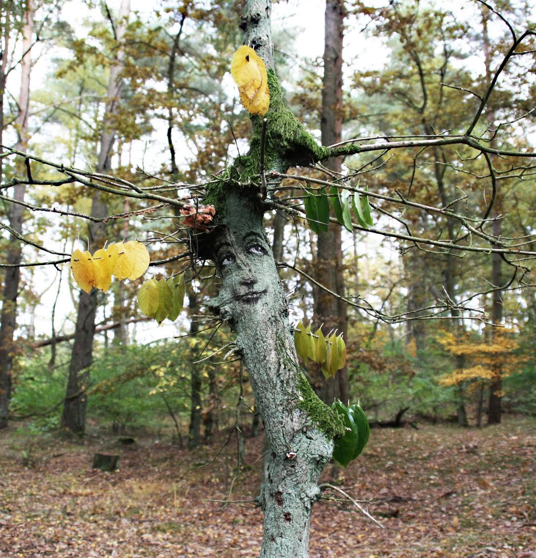 The Tree Project | Wooster Collective