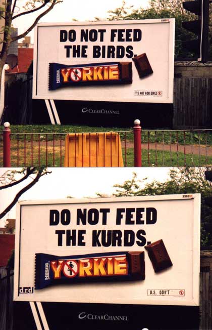 yorkie