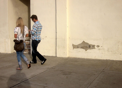 shark%20walk%20WEB%20SNYDER.jpg